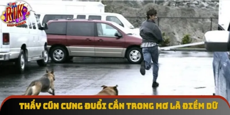 Thấy cún cưng đuổi cắn trong mơ là điềm dữ Thấy cún cưng đuổi cắn trong mơ là điềm dữ